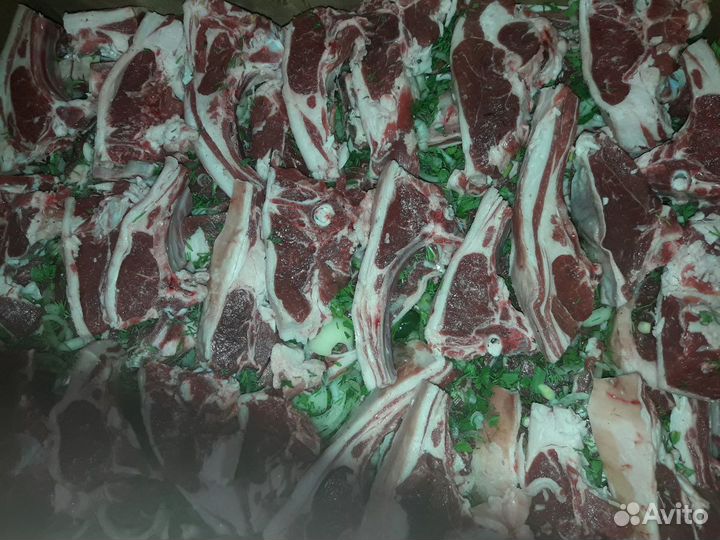 Баранина курдючная