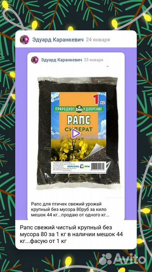 Корм для птиц