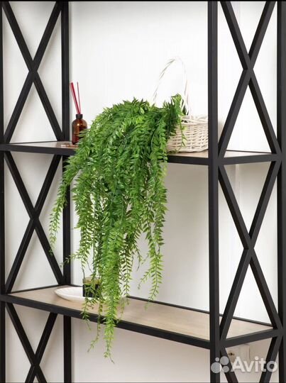 Ампельная зелень для декора свисающаяся