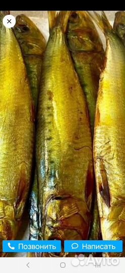 Иваси холодного копчения