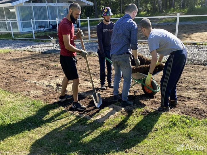 Качественный газон