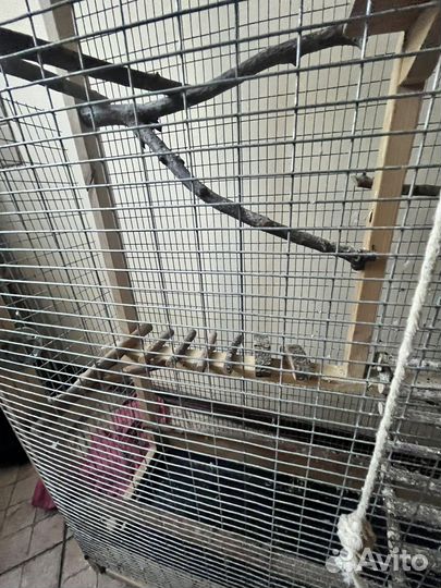Клетка вольер для попугаев