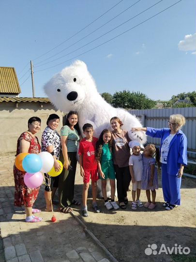 Белый Мишка Праздник