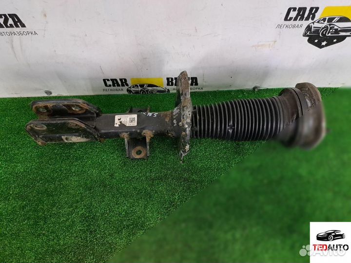 Амортизатор передний, Volkswagen Crafter 2017