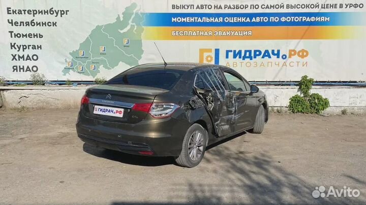 Плафон салонный Citroen C4 II 96743565DS