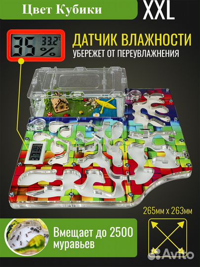 Муравьиная ферма 