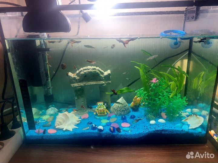 Вода для аквариума