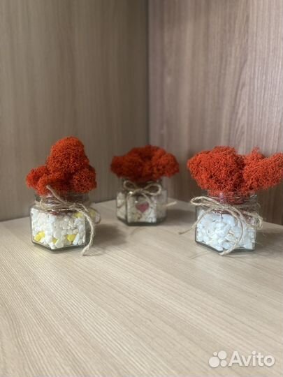 Декоративные цветы