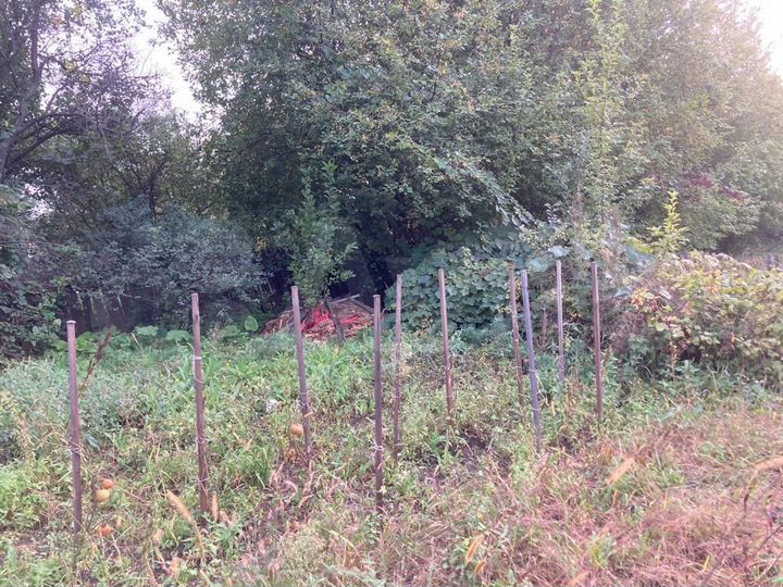 Участок 6 сот. (СНТ, ДНП)