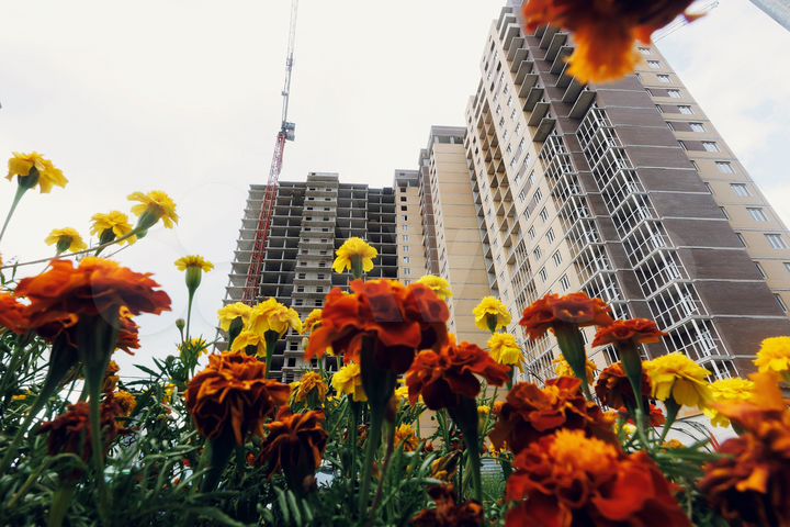 1-к. квартира, 46,5 м², 11/22 эт.