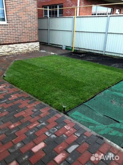 Рулонный газон