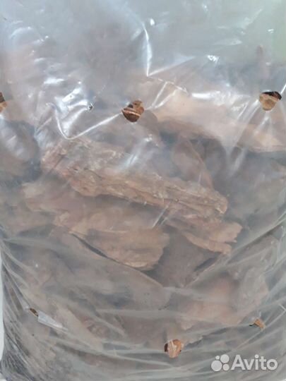 Кора сибирской сосны фракция 60х100мм