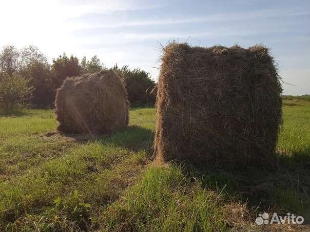 Сено луговое в рулонах