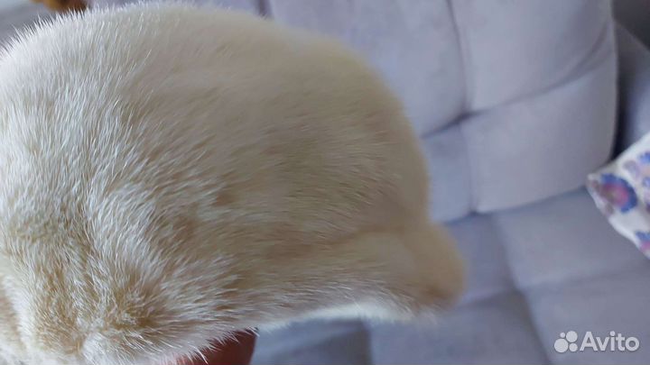 Кепка женская норковая