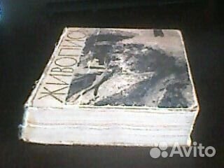 Живопись, издание периода СССР, 1964 г