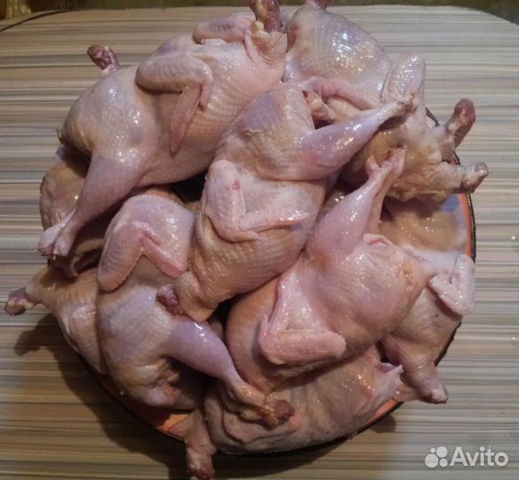 Мясо молодых перепелов