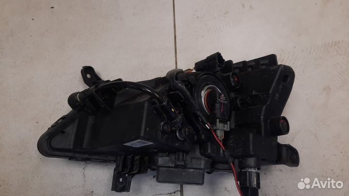 Фара противотуманная передняя правая