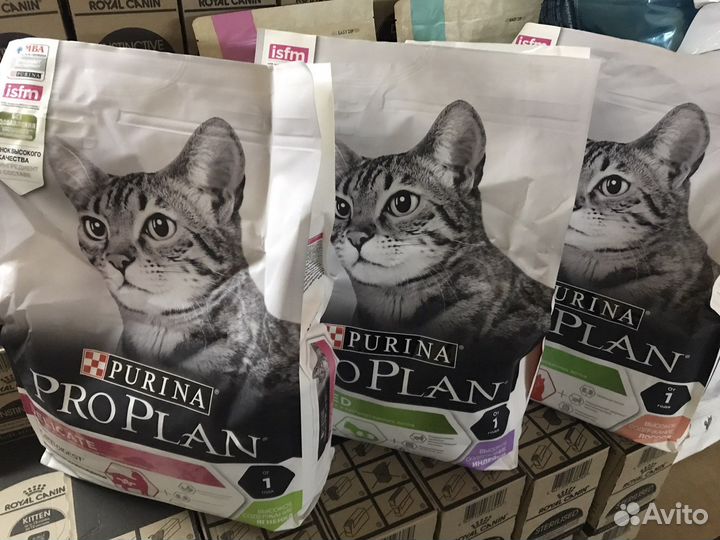 Корм для кошек proplan