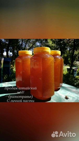 Продам прополис