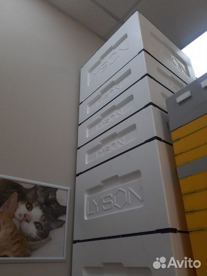 Лысонь Улья новые