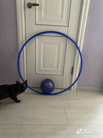 Гимнастический мяч и обруч на 7-9 лет