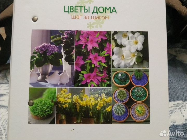 Книга растений