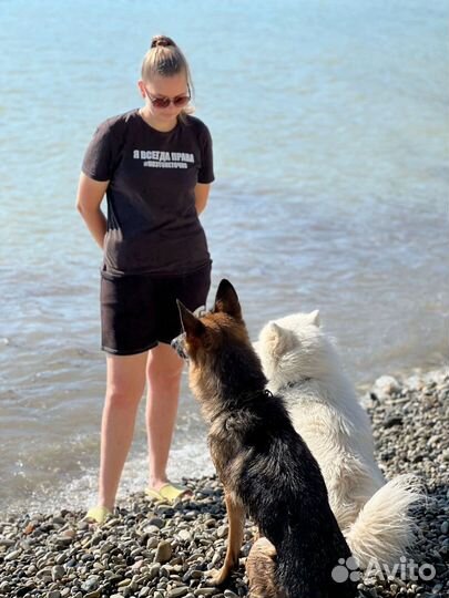Выгул/дрессировка/передержка собак