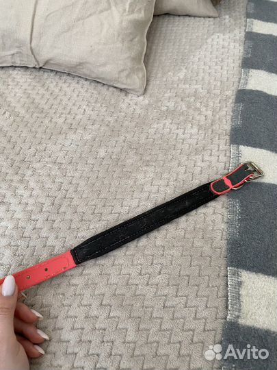 Ощейник для собаки hunter