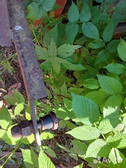 Прицеп пчёлка