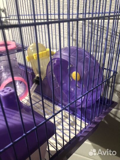 Клетка для хомяка с аксессуарами