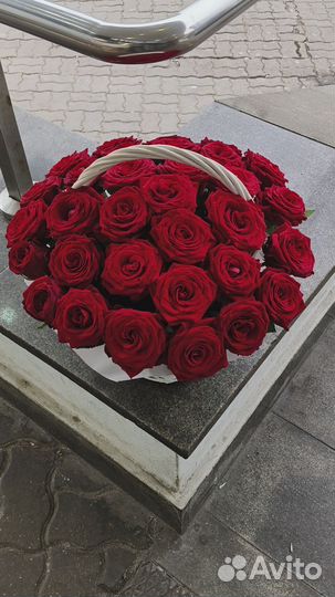 Розы красные