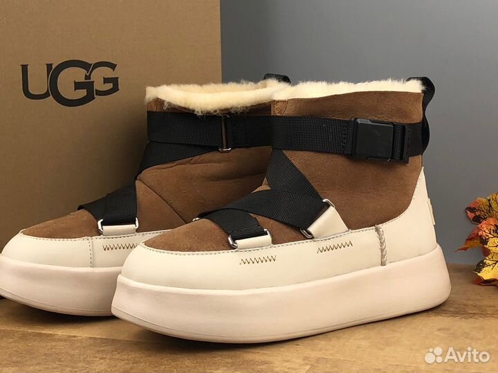 Угги Ugg Boom Buckle Boot Chestnut