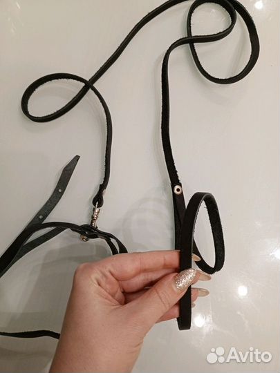 Шлейка+поводок кожа