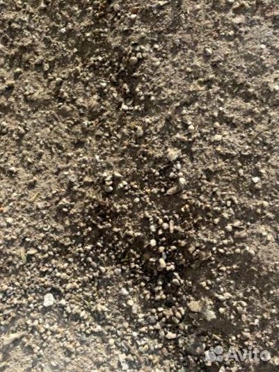 Плодородный грунт