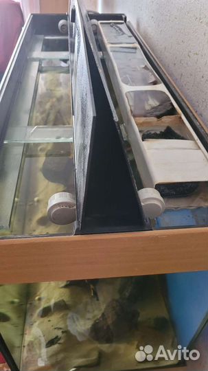 Аквариум juwel rio 240