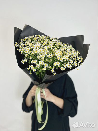 Моно букет из 17 Ромашек в матовой бумаге