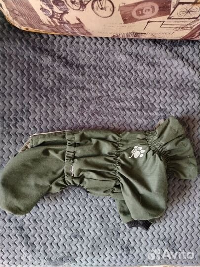 Комбез для маленькой собачки, мальчика