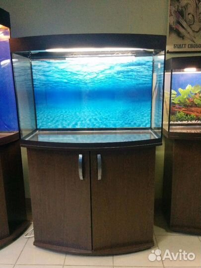 Аквариум 200 полукруг, свет, фон, биофильтр, тумба