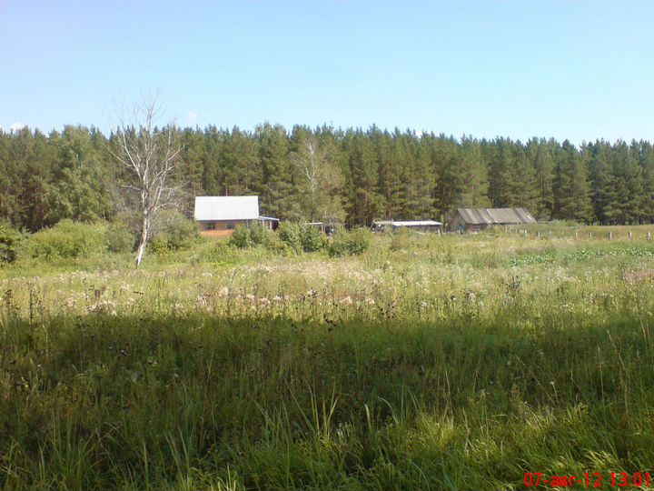 Участок 4,2 га (СНТ, ДНП)