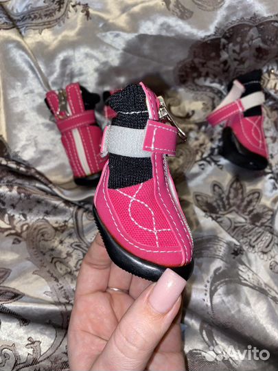 Ботинки для собак