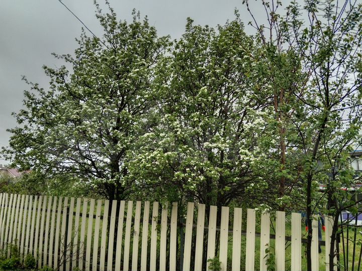 Дача 36 м² на участке 10 сот.