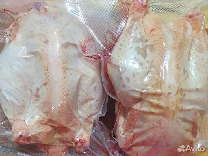 Свежее мясо домашней птицы