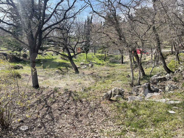 Участок 11,5 сот. (промназначения)