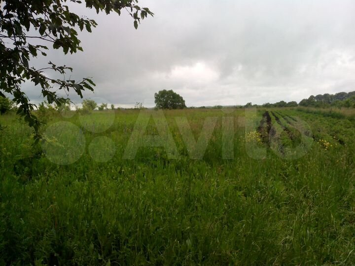 Участок 49,1 сот. (ИЖС)