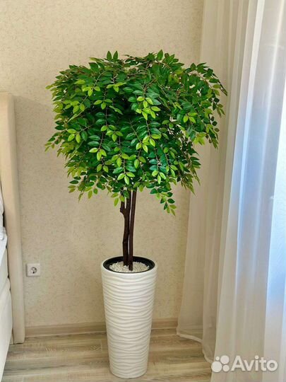 Искусственное дерево Глициния