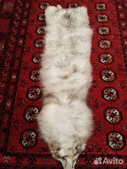 Мех песца