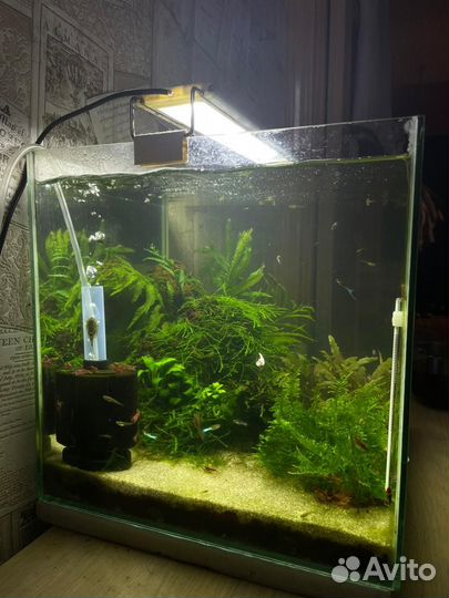 Аквариум