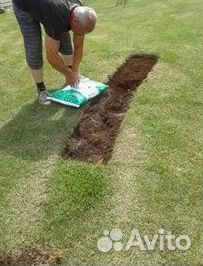 Газон от производителя