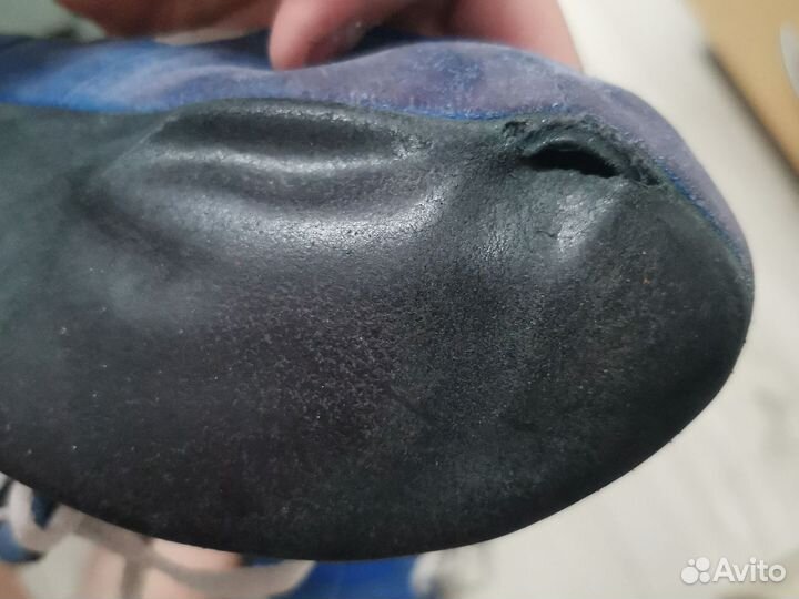 Борцовки синии