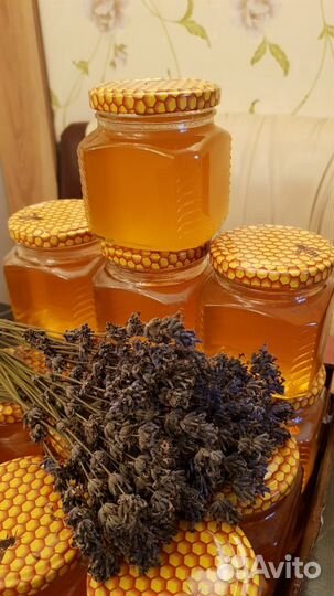 Лавандовый мед